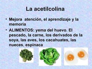 La acetilcolina   Mejora  atención,   el aprendizaje y la memoria   ALIMENTOS: yema del huevo .  El pescado, la carne, los derivados de la soya, las aves, los cacahuates, las nueces ,  espinaca 