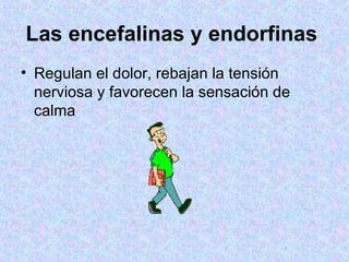 Las encefalinas y endorfinas   Regulan el dolor, rebajan la tensión nerviosa y favorecen la sensación de calma  