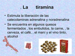 .  La  tiramina   Estimula la liberación de las catecolaminas adrenalina y noradrenalina  Se encuentra en algunos quesos fermentados , los embutidos, la carne, , la cerveza, el café, , el maní y el vino tinto, alcohol  
