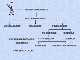 INGERIR DIARIAMENTE 60% CARBOHIDRATO MONOSACARIDO DISACARIDO POLISACARIDO DIGERIBLE NO DIGERIBLE ALMIDON CELULOSA VERDURAS CASCÁRA  DE CEREALES EVITAN ENFERMEDADES DIGESTIVAS CÁNCER AL COLON 