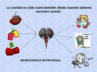 La comida no sólo nutre también afecta nuestro sistema nervioso central,   NEUROCIENCIA NUTRICIONAL,   