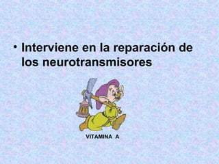 Interviene en la reparación de los neurotransmisores   VITAMINA  A 