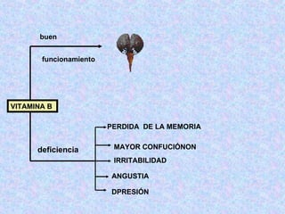 VITAMINA B buen deficiencia PERDIDA  DE LA MEMORIA MAYOR CONFUCIÓNON IRRITABILIDAD ANGUSTIA DPRESIÓN funcionamiento 