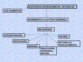LOS ALIMENTOS SUSTANCIAS NEUROQUIMICAS  NATURALES INCREMENTA LA ACTITUD CEREBRAL MEJORANDO CONCENTRACIÓN MOTIVACIÓN MEMORIA REACCIONES SENSORIAL-MOTRIZ ESTRES RETARDA EL ENVEJECIMIENTO 