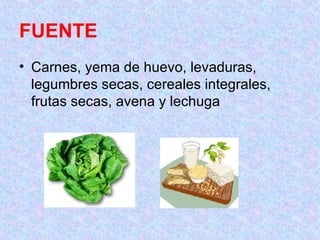 FUENTE Carnes, yema de huevo, levaduras, legumbres secas, cereales integrales, frutas secas, avena y lechuga  