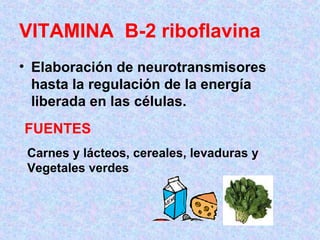VITAMINA  B-2 riboflavina Elaboración de neurotransmisores hasta la regulación de la energía liberada en las células. Carnes y lácteos, cereales, levaduras y  Vegetales verdes   FUENTES 