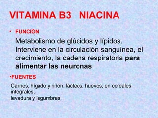 VITAMINA B3  NIACINA FUNCIÓN Metabolismo de glúcidos y lípidos. Interviene en la circulación sanguínea, el crecimiento, la cadena respiratoria  para alimentar las neuronas   FUENTES Carnes, hígado y riñón, lácteos, huevos, en cereales integrales,  levadura y legumbres  