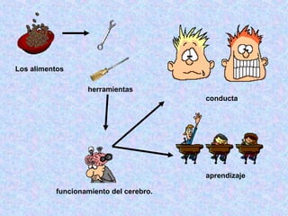 conducta aprendizaje Los alimentos herramientas funcionamiento del cerebro.   