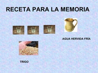 RECETA PARA LA MEMORIA AGUA HERVIDA FRÍA TRIGO 