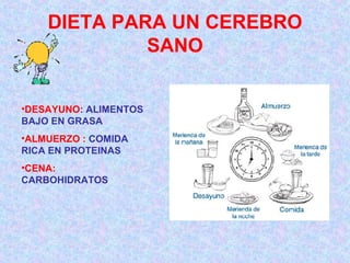 DIETA PARA UN CEREBRO SANO DESAYUNO : ALIMENTOS BAJO EN GRASA ALMUERZO :  COMIDA RICA EN PROTEINAS CENA:  CARBOHIDRATOS 