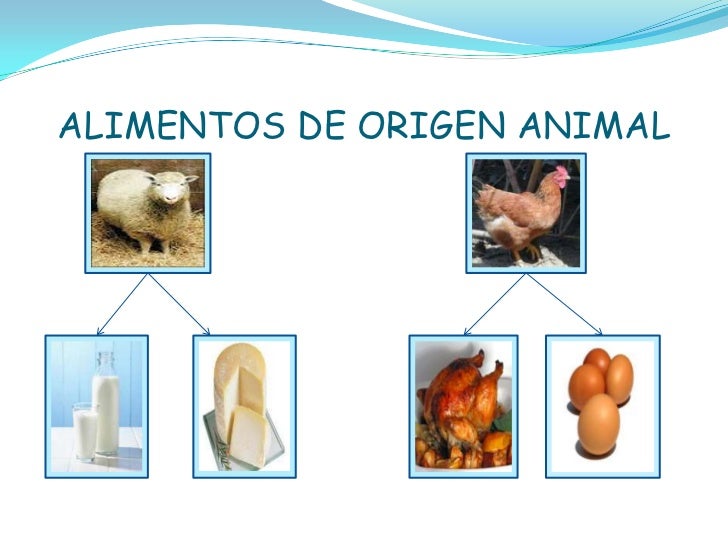 Composicion De Los Alimentos De Origen Animal notchconsulting.blog