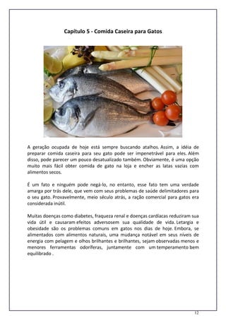 12
Capítulo 5 - Comida Caseira para Gatos
A geração ocupada de hoje está sempre buscando atalhos. Assim, a idéia de
preparar comida caseira para seu gato pode ser impenetrável para eles. Além
disso, pode parecer um pouco desatualizado também. Obviamente, é uma opção
muito mais fácil obter comida de gato na loja e encher as latas vazias com
alimentos secos.
É um fato e ninguém pode negá-lo, no entanto, esse fato tem uma verdade
amarga por trás dele, que vem com seus problemas de saúde delimitadores para
o seu gato. Provavelmente, meio século atrás, a ração comercial para gatos era
considerada inútil.
Muitas doenças como diabetes, fraqueza renal e doenças cardíacas reduziram sua
vida útil e causaram efeitos adversosem sua qualidade de vida. Letargia e
obesidade são os problemas comuns em gatos nos dias de hoje. Embora, se
alimentados com alimentos naturais, uma mudança notável em seus níveis de
energia com pelagem e olhos brilhantes e brilhantes, sejam observadas menos e
menores ferramentas odoríferas, juntamente com um temperamento bem
equilibrado .
 