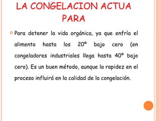 LA CONGELACION ACTUA PARA Para detener la vida orgánica, ya que enfría el alimento hasta los 20º bajo cero (en congeladores industriales llega hasta 40º bajo cero). Es un buen método, aunque la rapidez en el proceso influirá en la calidad de la congelación. 