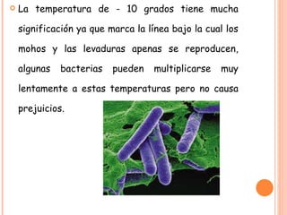 La temperatura de - 10 grados tiene mucha significación ya que marca la línea bajo la cual los mohos y las levaduras apenas se reproducen, algunas bacterias pueden multiplicarse muy lentamente a estas temperaturas pero no causa prejuicios. 