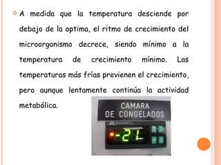 A medida que la temperatura desciende por debajo de la optima, el ritmo de crecimiento del microorganismo decrece, siendo mínimo a la temperatura de crecimiento mínimo. Las temperaturas más frías previenen el crecimiento, pero aunque lentamente continúa la actividad metabólica.  