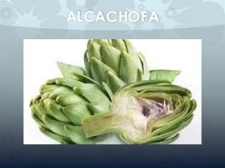 ALCACHOFA
 