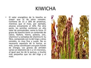 KIWICHA
• El valor energético de la kiwicha es
mayor que el de otros cereales.
Contiene de 15 a 18% de proteínas,
mientras que el maíz, por ejemplo,
alcanza únicamente el 10%. Por otra
parte, las semillas contienen un alto
valor de aminoácidos, como la lisina. El
grano de kiwicha tiene un contenido de
calcio, fósforo, hierro, potasio, zinc,
vitamina E y complejo de vitamina B. Su
fibra, comparada con la del trigo y otros
cereales, es muy fina y suave. No es
necesario separarla de la harina, es
más, juntas constituyen una gran fuente
de energía. Los granos de almidón
varían en diámetro de 1 a 3.5 micrones,
al igual que los de la quinua, y mucho
más pequeños que los del trigo y el
maíz.
 