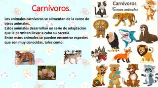 Carnívoros.
Los animales carnívoros se alimentan de la carne de
otros animales.
Estos animales desarrollan un serie de adaptación
que le permiten llevar a cabo su cacería.
Entre estos animales se pueden encontrar especies
que son muy conocidas, tales como:
 