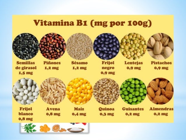 Alimentos del plato del buen comer