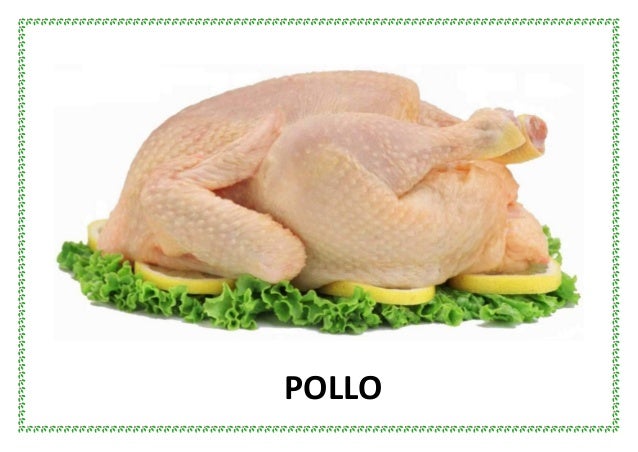 ALIMENTOS DE ORIGEN ANIMAL. LEGUMBRES Y CEREALES ALIMENTOS DE ORIGEN ANIMAL. LEGUMBRES Y CEREALES