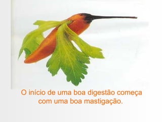 O início de uma boa digestão começa com uma boa mastigação.  