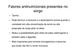 • Tanino;
• Pode diminuir o consumo e o desempenho animal quando a
variedade tem alta concentração de tanino ou alta
proporção de sorgo grão na dieta;
• Reduz a palatabilidade pelo efeito do sabor adstringente e
também afeta a digestão;
• Mais importante para animais monogástricos e bezerros
que ainda não têm o rúmen funcional.
Fatores antinutricionais presentes no
sorgo
 