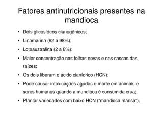 Fatores antinutricionais presentes na
mandioca
• Dois glicosídeos cianogênicos;
• Linamarina (92 a 98%);
• Lotoaustralina (2 a 8%);
• Maior concentração nas folhas novas e nas cascas das
raízes;
• Os dois liberam o ácido cianídrico (HCN);
• Pode causar intoxicações agudas e morte em animais e
seres humanos quando a mandioca é consumida crua;
• Plantar variedades com baixo HCN (“mandioca mansa”).
 