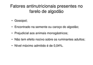 • Gossipol;
• Encontrado na semente ou caroço do algodão;
• Prejudicial aos animais monogástricos;
• Não tem efeito nocivo sobre os ruminantes adultos;
• Nível máximo admitido é de 0,04%.
Fatores antinutricionais presentes no
farelo de algodão
 
