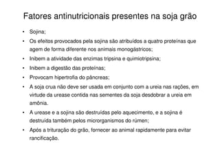 • Sojina;
• Os efeitos provocados pela sojina são atribuídos a quatro proteínas que
agem de forma diferente nos animais monogástricos;
• Inibem a atividade das enzimas tripsina e quimiotripsina;
• Inibem a digestão das proteínas;
• Provocam hipertrofia do pâncreas;
• A soja crua não deve ser usada em conjunto com a ureia nas rações, em
virtude da urease contida nas sementes da soja desdobrar a ureia em
amônia.
• A urease e a sojina são destruídas pelo aquecimento, e a sojina é
destruída também pelos microrganismos do rúmen;
• Após a trituração do grão, fornecer ao animal rapidamente para evitar
rancificação.
Fatores antinutricionais presentes na soja grão
 