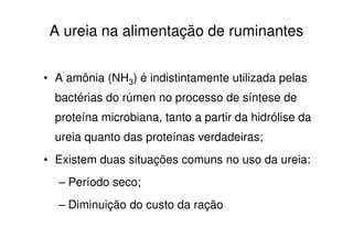 A ureia na alimentação de ruminantes
• A amônia (NH3) é indistintamente utilizada pelas
bactérias do rúmen no processo de síntese de
proteína microbiana, tanto a partir da hidrólise da
ureia quanto das proteínas verdadeiras;
• Existem duas situações comuns no uso da ureia:
– Período seco;
– Diminuição do custo da ração
 