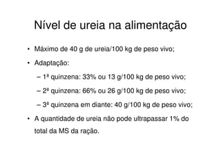 Nível de ureia na alimentação
• Máximo de 40 g de ureia/100 kg de peso vivo;
• Adaptação:
– 1ª quinzena: 33% ou 13 g/100 kg de peso vivo;
– 2ª quinzena: 66% ou 26 g/100 kg de peso vivo;
– 3ª quinzena em diante: 40 g/100 kg de peso vivo;
• A quantidade de ureia não pode ultrapassar 1% do
total da MS da ração.
 