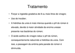 Tratamento
• Forçar a ingestão gradativa de 8 ou mais litros de vinagre;
• Uso do trocáter;
• A hidrólise da ureia é mais intensa quando o pH do rúmen é
elevado, devido à maior atividade da enzima urease
presente nas bactérias do rúmen;
• O ácido acético do vinagre reduz o pH do rúmen,
consequentemente reduzindo a hidrólise da ureia. Com
isso, a passagem da amônia pela parede do rúmen é
diminuída.
 