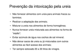 Prevenção da intoxicação pela ureia
• Não fornecer alimentos com ureia para animais fracos ou
famintos;
• Realizar a adaptação dos animais;
• Misturar a ureia nos alimentos de forma homogênea;
• Nunca fornecer ureia misturada aos alimentos na forma de
“sopão”;
• Evitar acúmulo de água nos cochos de sal mineral;
• Não deixar sacos de ureia ou já misturados com outros
alimentos ao fácil acesso dos animais;
• Ter sempre estocado 20 a 30 litros de vinagre.
 