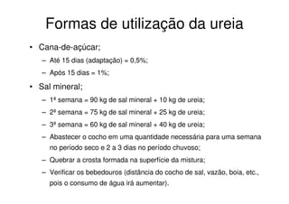 Formas de utilização da ureia
• Cana-de-açúcar;
– Até 15 dias (adaptação) = 0,5%;
– Após 15 dias = 1%;
• Sal mineral;
– 1ª semana = 90 kg de sal mineral + 10 kg de ureia;
– 2ª semana = 75 kg de sal mineral + 25 kg de ureia;
– 3ª semana = 60 kg de sal mineral + 40 kg de ureia;
– Abastecer o cocho em uma quantidade necessária para uma semana
no período seco e 2 a 3 dias no período chuvoso;
– Quebrar a crosta formada na superfície da mistura;
– Verificar os bebedouros (distância do cocho de sal, vazão, boia, etc.,
pois o consumo de água irá aumentar).
 