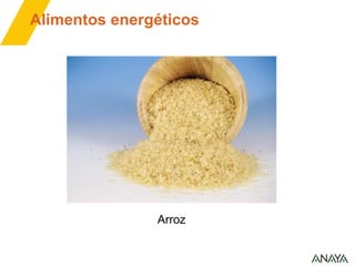 Alimentos energéticos

Arroz

 