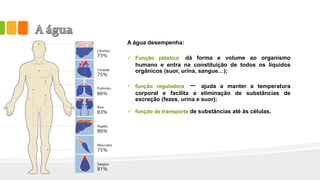 A água desempenha:
 Função plástica dá forma e volume ao organismo
humano e entra na constituição de todos os líquidos
orgânicos (suor, urina, sangue…);
 função reguladora – ajuda a manter a temperatura
corporal e facilita a eliminação de substâncias de
excreção (fezes, urina e suor);
 função de transporte de substâncias até às células.
 