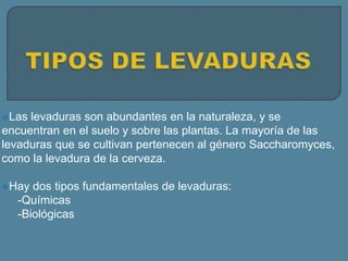 Las levaduras son abundantes en la naturaleza, y se
encuentran en el suelo y sobre las plantas. La mayoría de las
levaduras que se cultivan pertenecen al género Saccharomyces,
como la levadura de la cerveza.
Hay dos tipos fundamentales de levaduras:
-Químicas
-Biológicas
 