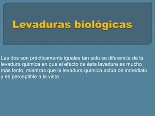 Las dos son prácticamente iguales tan solo se diferencia de la
levadura química en que el efecto de ésta levadura es mucho
más lento, mientras que la levadura química actúa de inmediato
y es perceptible a la vista
 