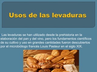 Las levaduras se han utilizado desde la prehistoria en la
elaboración del pan y del vino, pero los fundamentos científicos
de su cultivo y uso en grandes cantidades fueron descubiertos
por el microbiólogo francés Louis Pasteur en el siglo XIX.
 