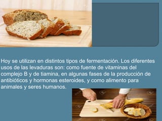 Hoy se utilizan en distintos tipos de fermentación. Los diferentes
usos de las levaduras son: como fuente de vitaminas del
complejo B y de tiamina, en algunas fases de la producción de
antibióticos y hormonas esteroides, y como alimento para
animales y seres humanos.
 