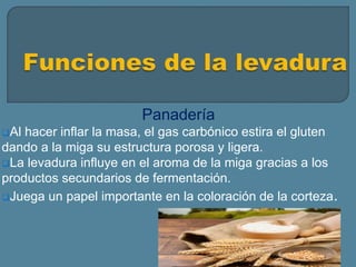 Panadería
Al hacer inflar la masa, el gas carbónico estira el gluten
dando a la miga su estructura porosa y ligera.
La levadura influye en el aroma de la miga gracias a los
productos secundarios de fermentación.
Juega un papel importante en la coloración de la corteza.
 