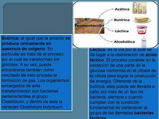 .
Butírica: al igual que la anterior se
produce únicamente en
ausencia de oxigeno. En
particular se trata de el proceso
por el cual se transforman los
glúcidos. A su vez, puede
encontrarse también como
resultado de este proceso la
formación de gas. Los organismos
encargados de esta
transformación son bacterias
pertenecientes al grupo
Clostridium, y dentro de este la
variedad Clostridium butyricum.
Láctica: es la vía por la cual se
da lugar a la elaboración de ácido
láctico. El proceso consiste en la
oxidación de una parte de la
glucosa contenida en el citosol de
la célula para lograr la producción
de energía. Diferente de la
butírica, esta puede ser llevada a
cabo por más de un tipo de
bacteria, siempre y cuando
cumplan con la condición
fundamental de pertenecer al
grupo de las llamadas bacterias
 