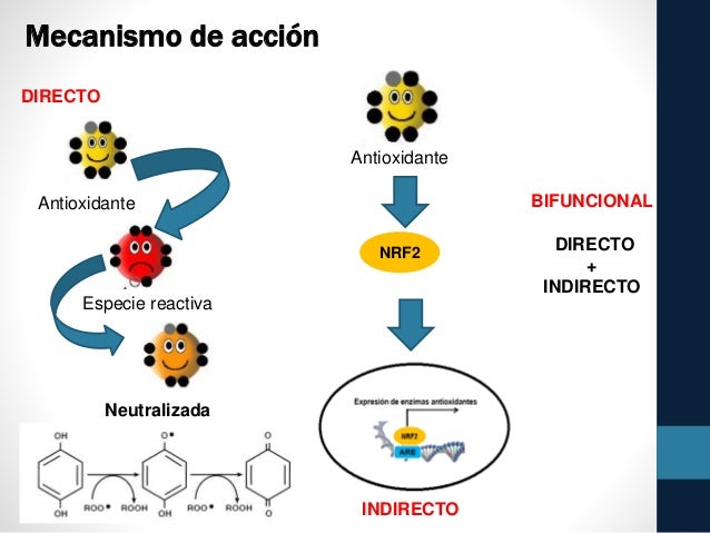 Alimentos funcionales como estrategia ante el SM y sus Alimentos funcionales como estrategia ante el SM y sus