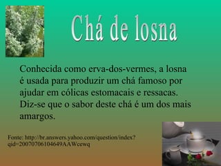 Conhecida como erva-dos-vermes, a losna
    é usada para produzir um chá famoso por
    ajudar em cólicas estomacais e ressacas.
    Diz-se que o sabor deste chá é um dos mais
    amargos.

Fonte: http://br.answers.yahoo.com/question/index?
qid=20070706104649AAWcewq
 