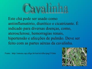 Este chá pode ser usado como
   antiinflamatório, diurético e cicatrizante. É
   indicado para diversas doenças, como,
   aterosclerose, hemorragias renais,
   hipertensão e afecções de pulmão. Deve ser
   feito com as partes aéreas da cavalinha.

Fonte: http://amora.cap.ufrgs.br/test/ai/alho/pag19.htm
 