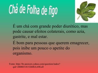 É um chá com grande poder diurético, mas
   pode causar efeitos colaterais, como azia,
   gastrite, e mal estar.
   É bom para pessoas que querem emagrecer,
   pois inibe um pouco o apetite do
   organismo.

Fonte: http://br.answers.yahoo.com/question/index?
   qid=20080318152608AA9EoJl
 