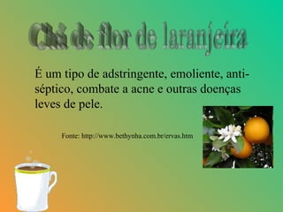 É um tipo de adstringente, emoliente, anti-
séptico, combate a acne e outras doenças
leves de pele.

     Fonte: http://www.bethynha.com.br/ervas.htm
 