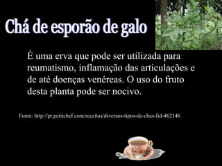 É uma erva que pode ser utilizada para
   reumatismo, inflamação das articulações e
   de até doenças venéreas. O uso do fruto
   desta planta pode ser nocivo.

Fonte: http://pt.petitchef.com/receitas/diversos-tipos-de-chas-fid-462146
 