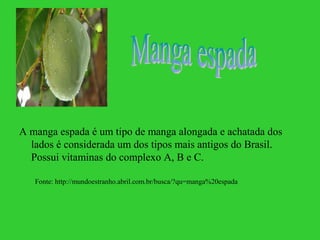 A manga espada é um tipo de manga alongada e achatada dos
  lados é considerada um dos tipos mais antigos do Brasil.
  Possui vitaminas do complexo A, B e C.

   Fonte: http://mundoestranho.abril.com.br/busca/?qu=manga%20espada
 