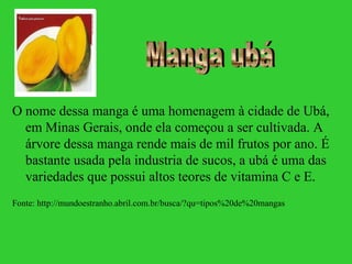 O nome dessa manga é uma homenagem à cidade de Ubá,
  em Minas Gerais, onde ela começou a ser cultivada. A
  árvore dessa manga rende mais de mil frutos por ano. É
  bastante usada pela industria de sucos, a ubá é uma das
  variedades que possui altos teores de vitamina C e E.
Fonte: http://mundoestranho.abril.com.br/busca/?qu=tipos%20de%20mangas
 